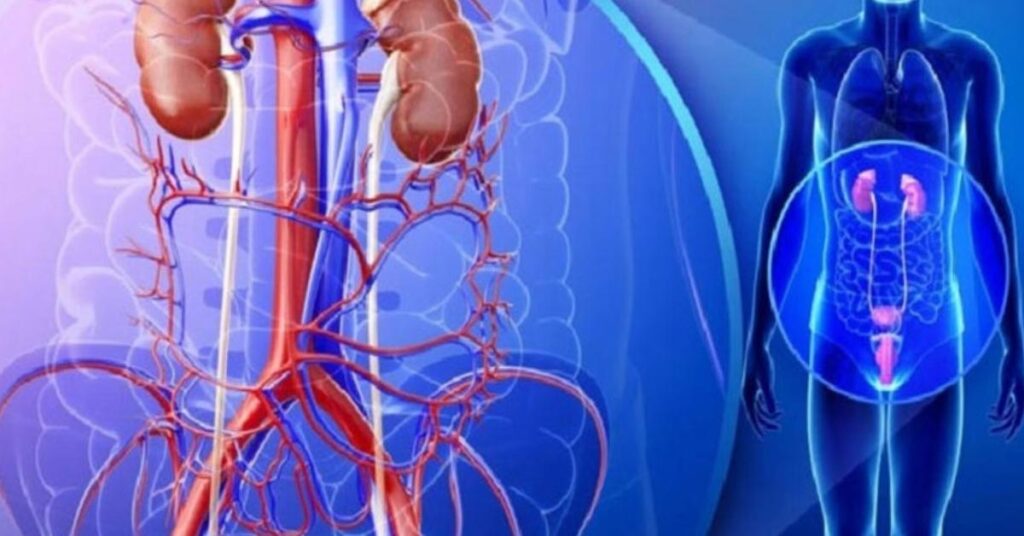 top rated 9 best urologists in lahore for modern urology treatments (10)