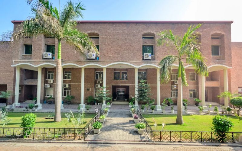 beaconhouse palm tree, gujranwala