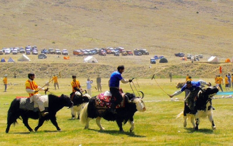 broghil festival
