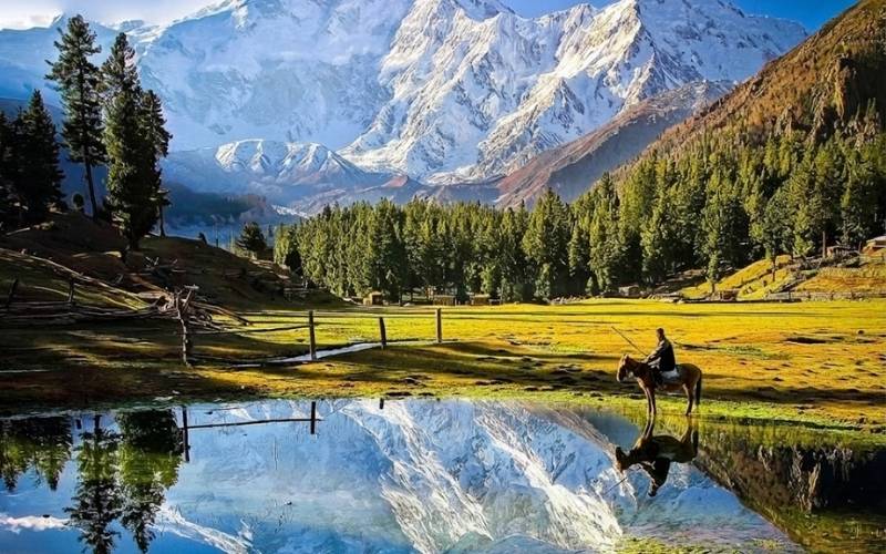 fairy meadows