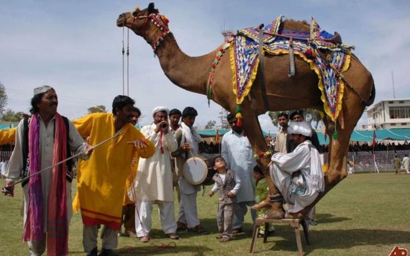 Best Festivals in Pakistan