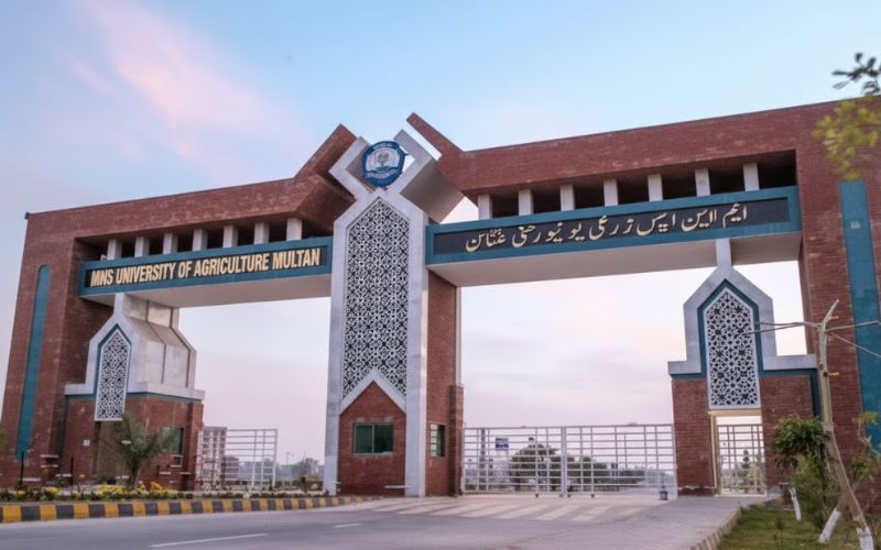 muhammad nawaz sharif university of agriculture