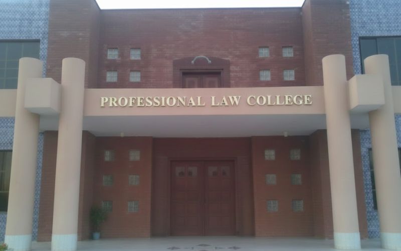 professional law college multan