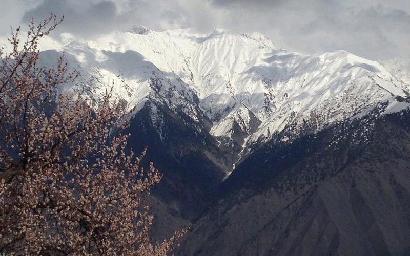 chitral gol national park