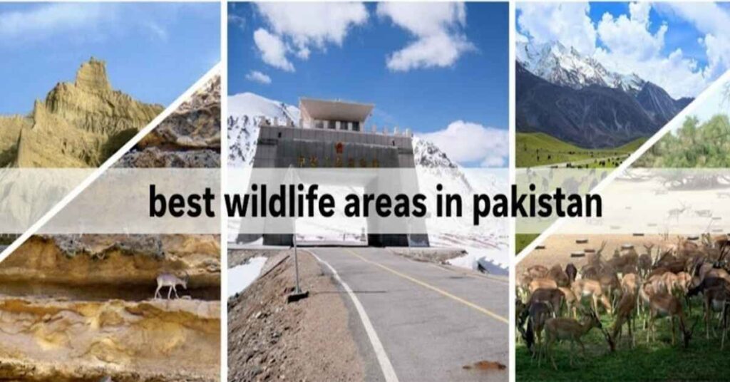 best wildlife areas in pakistan